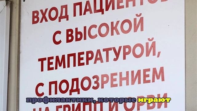 В Липецкой области заработала горячая линия по профилактике гриппа и ОРВИ