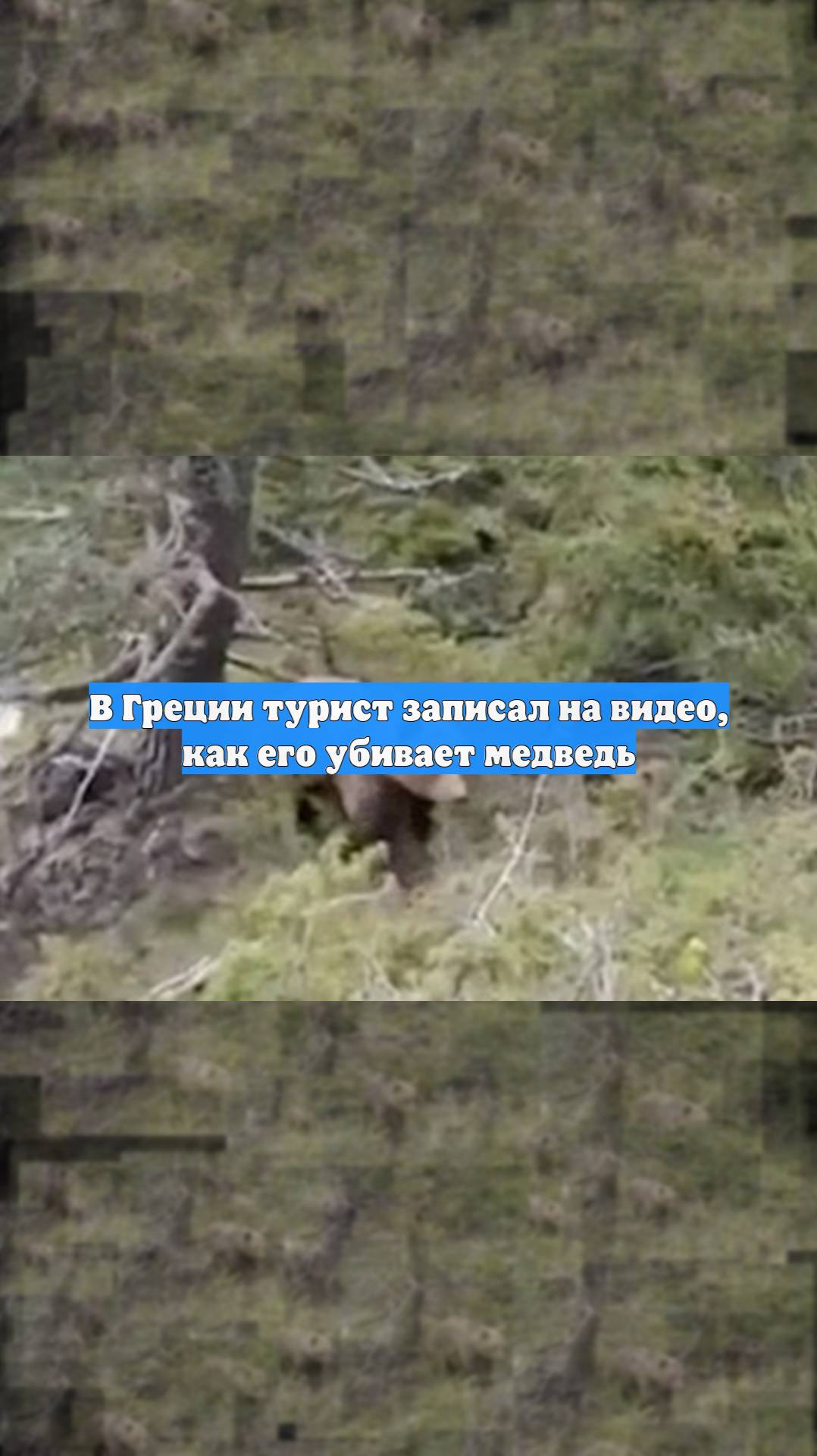 В Греции турист записал на видео, как его убивает медведь