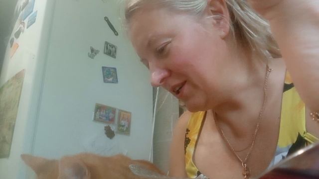 Любовь рыжего кота. 22.09.25.