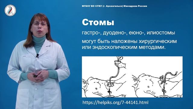 Трохова  М.В. Современные технологии питания 4 часть