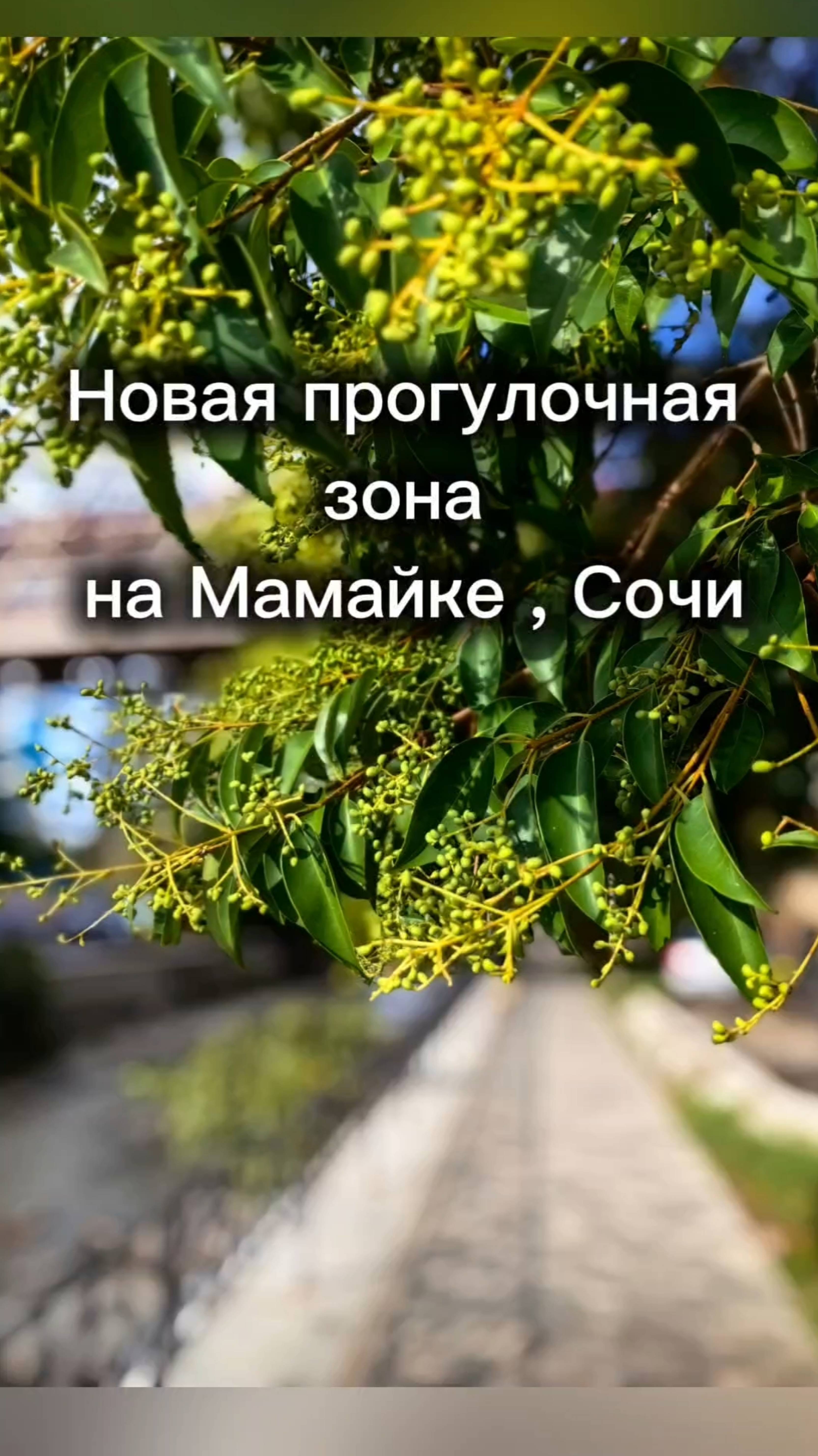 Новая прогулочная зона на Мамайке, Сочи.