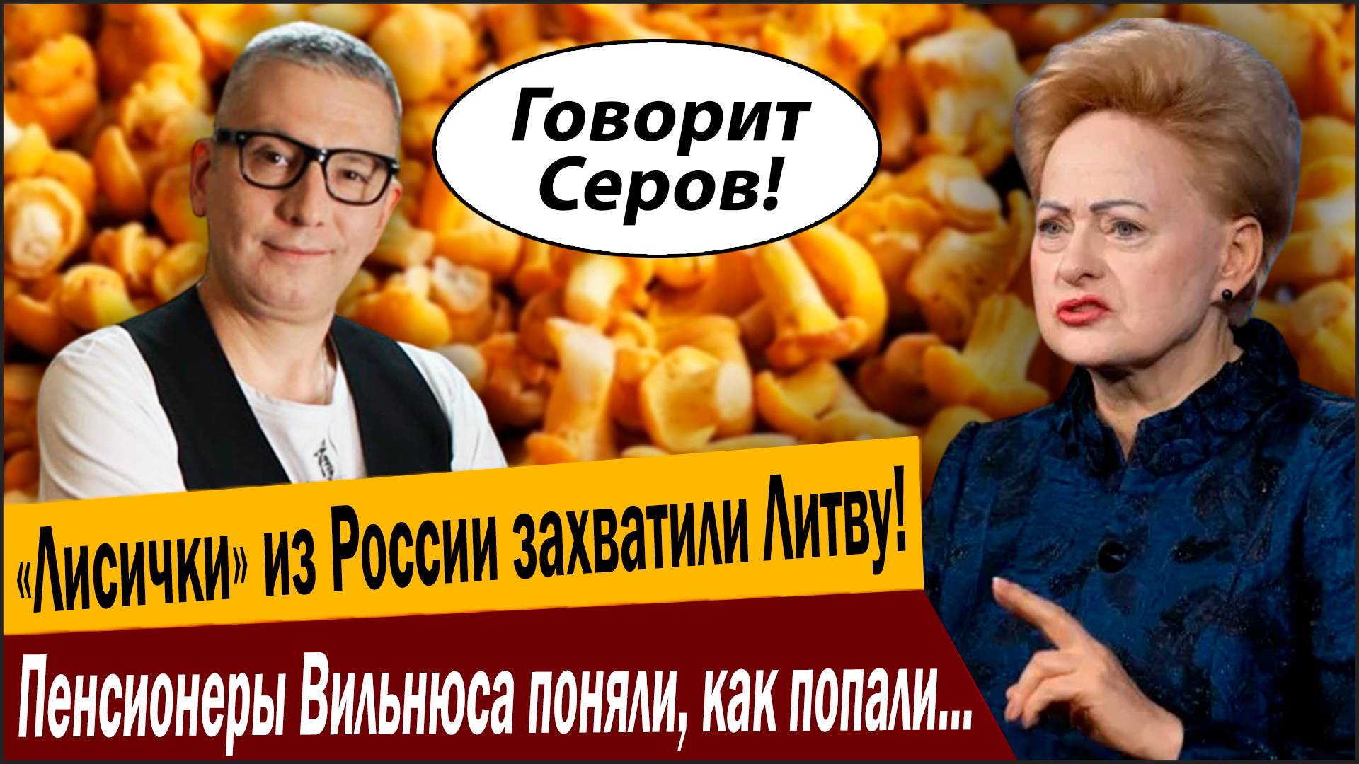 «Лисички» из России захватили Литву! Пенсионеры Вильнюса поняли, как попали, но поздно!