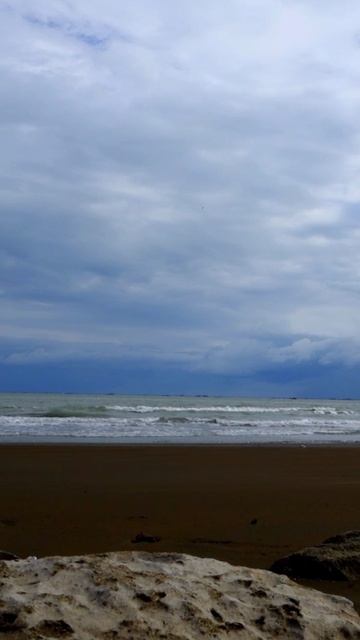 Соревнования по ориентированию в лесопарке у озера Ходжасан, Баку. Организаторы— @aze.orienteering .