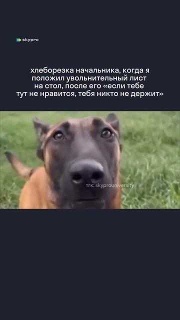 А потом «как мы тут без тебя»…