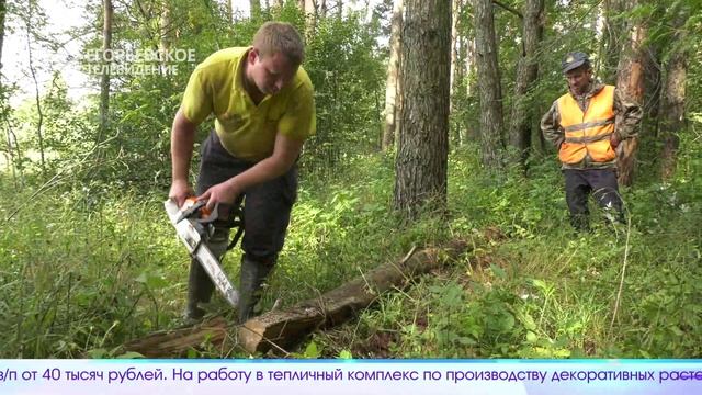 Новый выпуск программы Егорьевск сегодня от 22.09.25