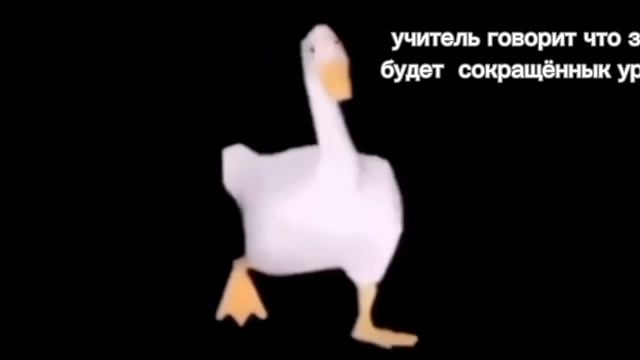 омагат видэо моё