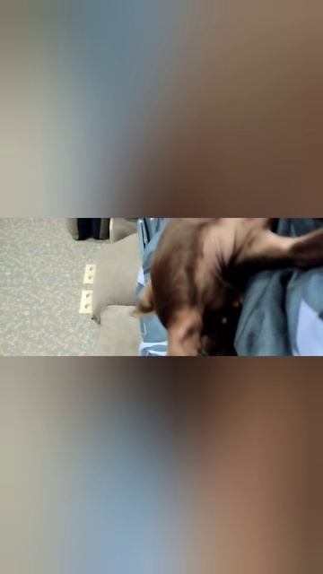 Как и обещал видео из фоток