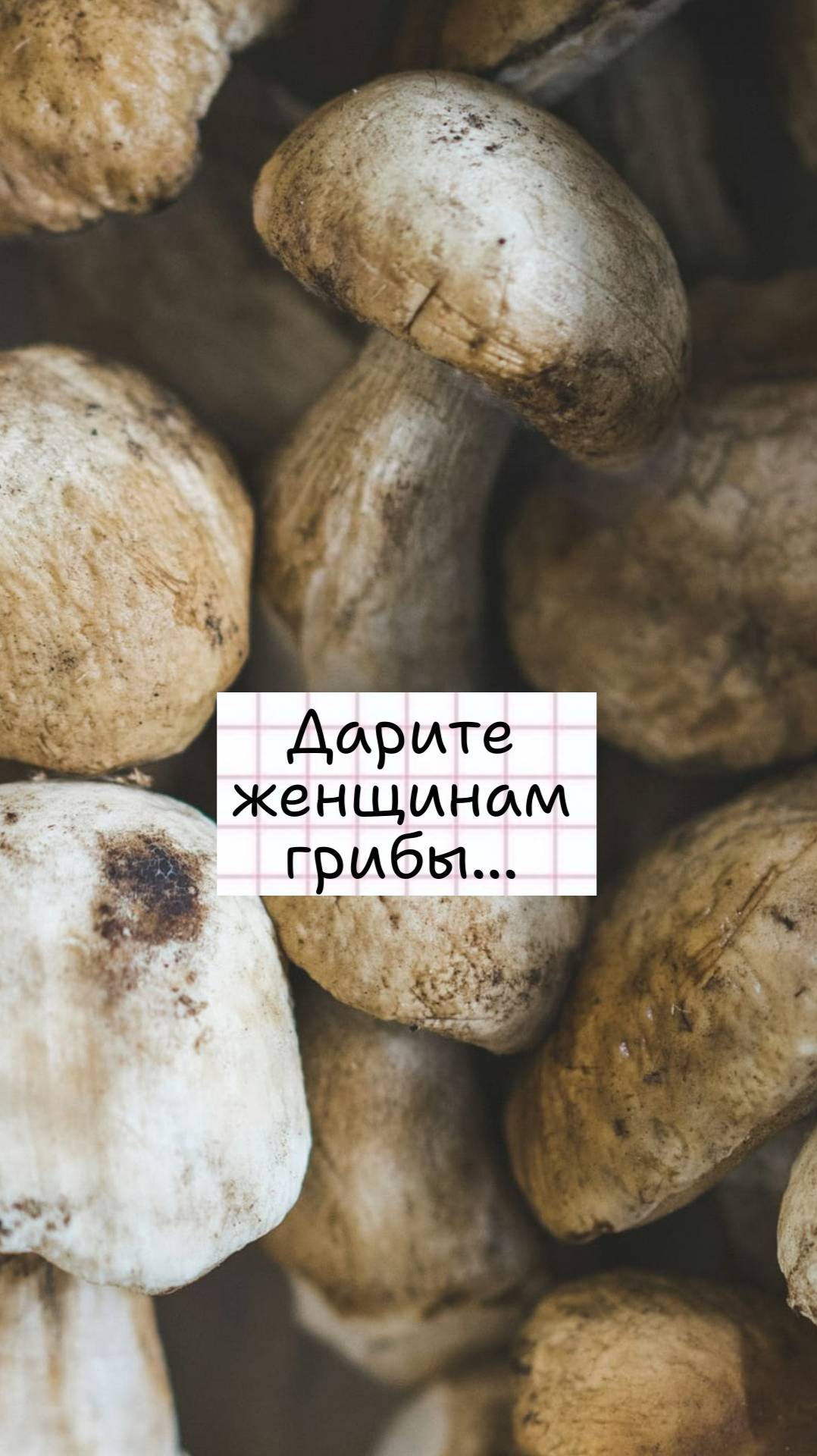 Дарите женщинам грибы - без повода, без причины!