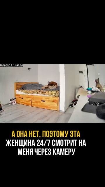 ПОДПИСЫВАЙСЯ, больше видео в профиле!❤️