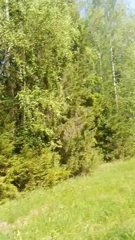 VID_20240604_114523~3.mp4