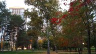В Нарымском сквере/ Новосибирск/23.09.2025🍁🍁🍁🍁🍁