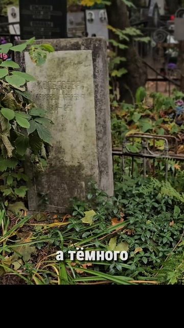 4 истории поиска могил, история третья