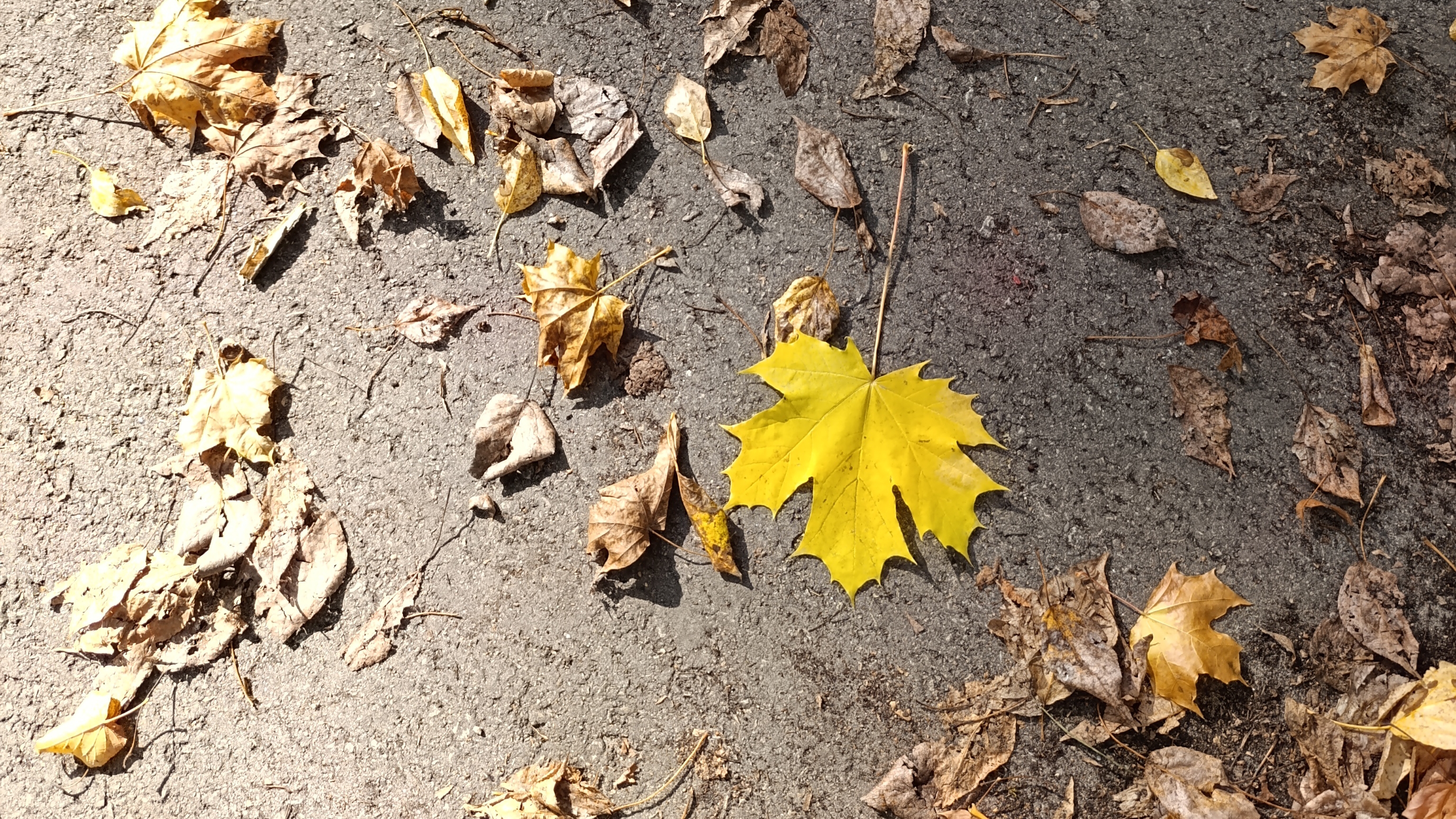 23.09.2025🍁