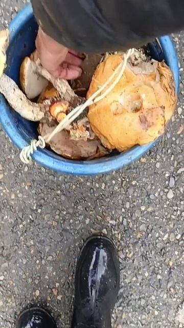Хорошая находка