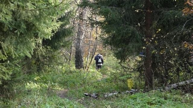 Прогулка по осени