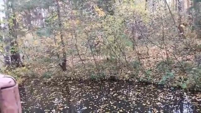 23-09-2025 Золотое озеро