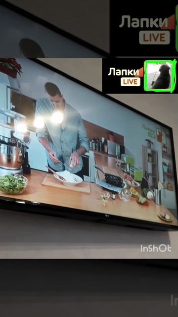 смена логотипа лапки лайф