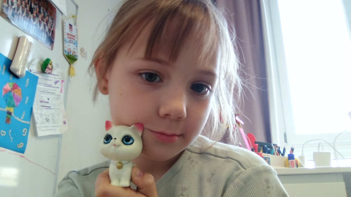 24 часа с котиком