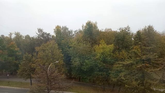 Осень наступила💥