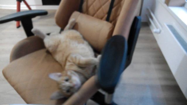 Bloody GK30 - 1080p, 30 к/с