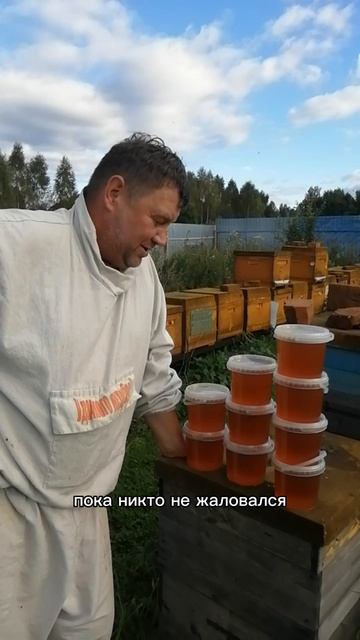 Лучший мëд на планете #мёд #мед #натуральныймёд #пчелиныймёд #свежиймёд #вкусныймёд #мёдспасеки