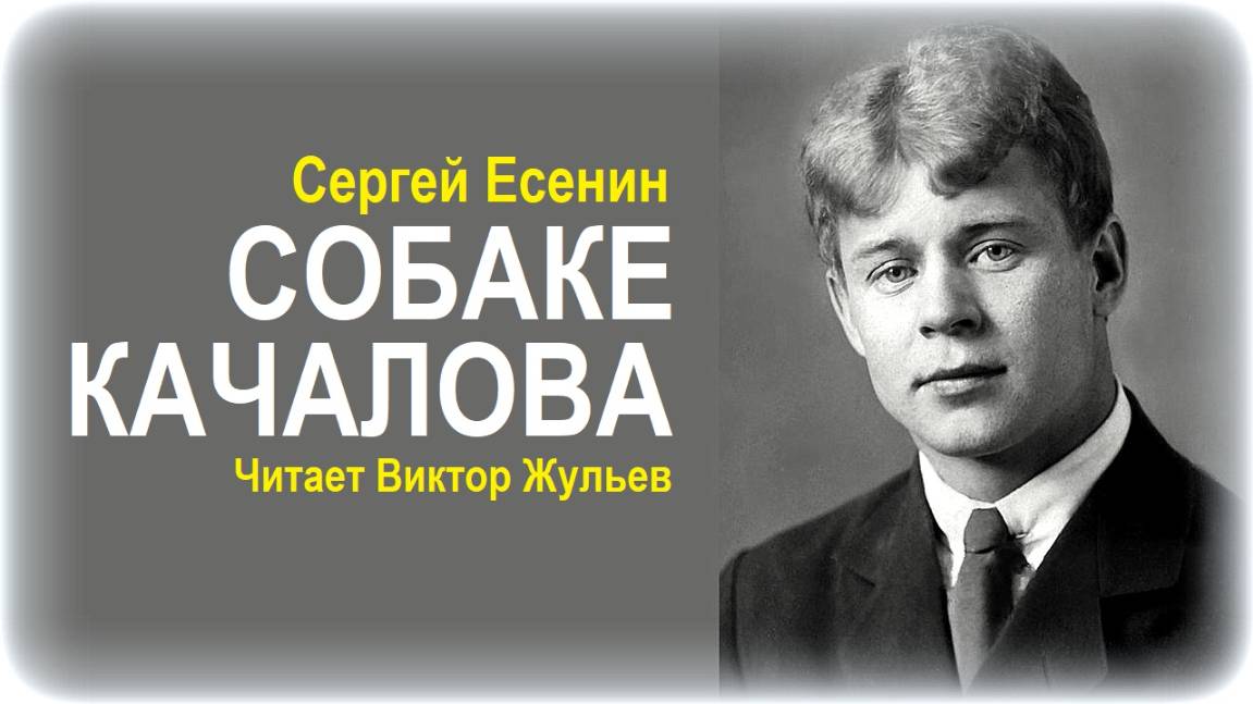 Стихотворение «СОБАКЕ КАЧАЛОВА». Сергей Есенин