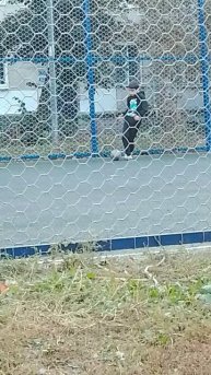 мой друг играет в футбол