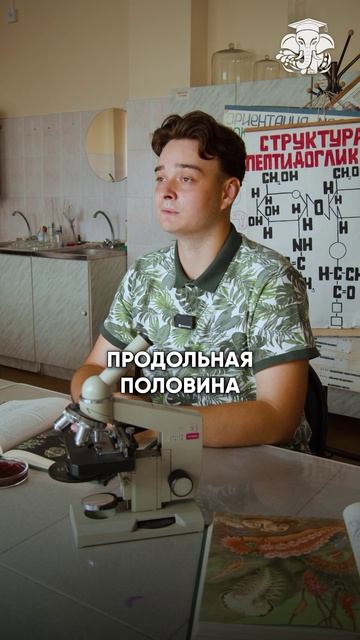 Гинандроморф