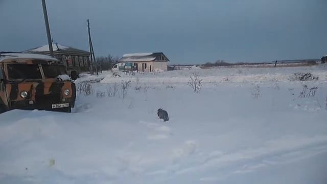 Жизнь Центровская - 4 серия