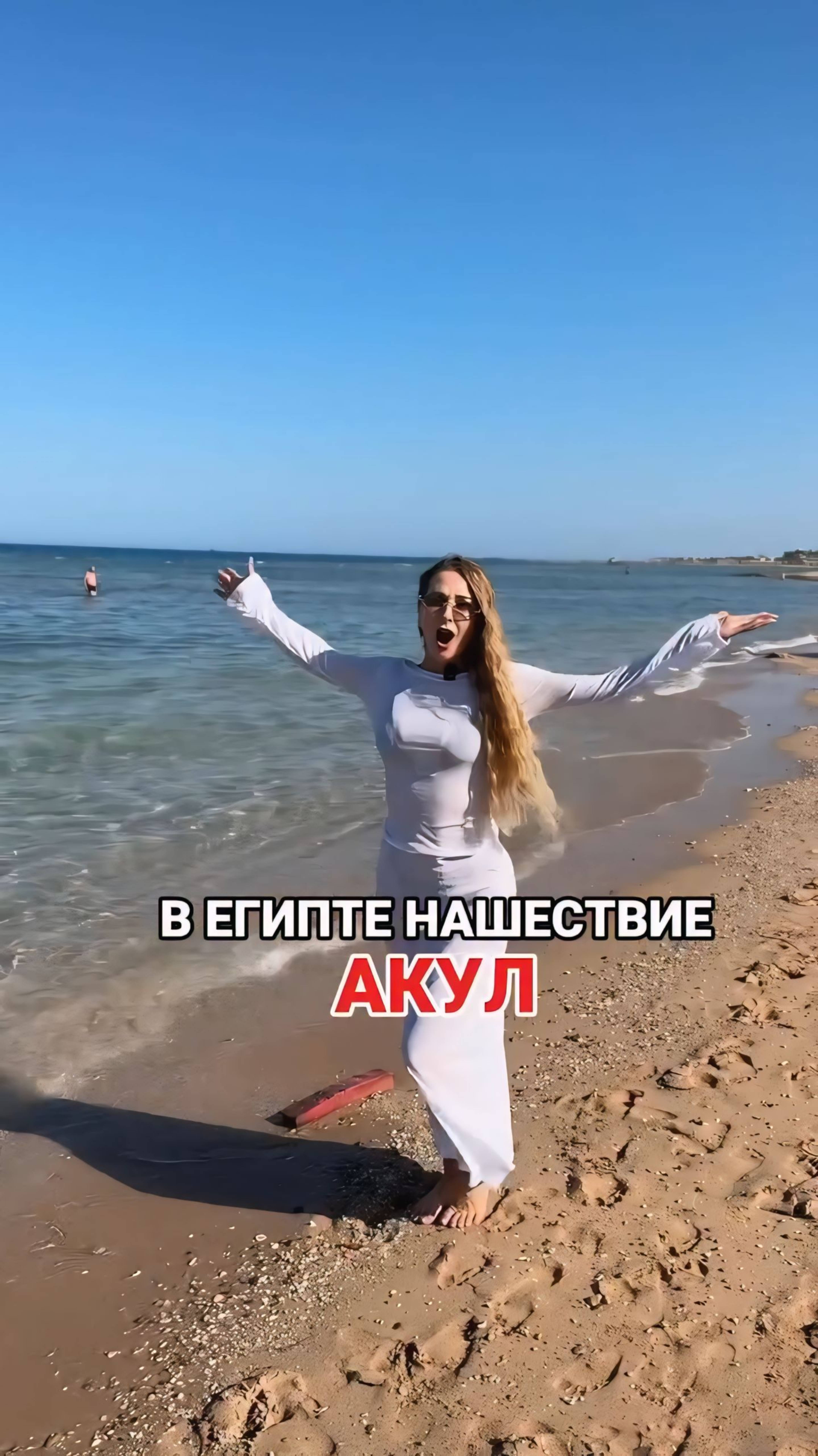 В Египте нашествие акул