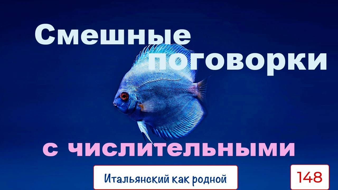 Веселые итальянские поговорки и речевые обороты – 148