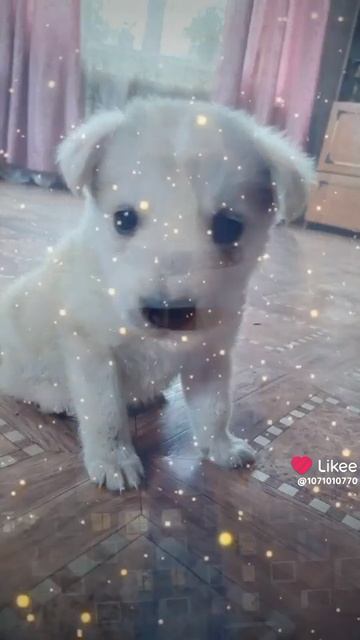 подпишусь взаимно