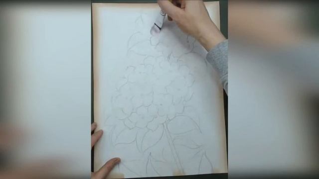 Фрагменты уроков курса "Портреты цветов крупным планом"