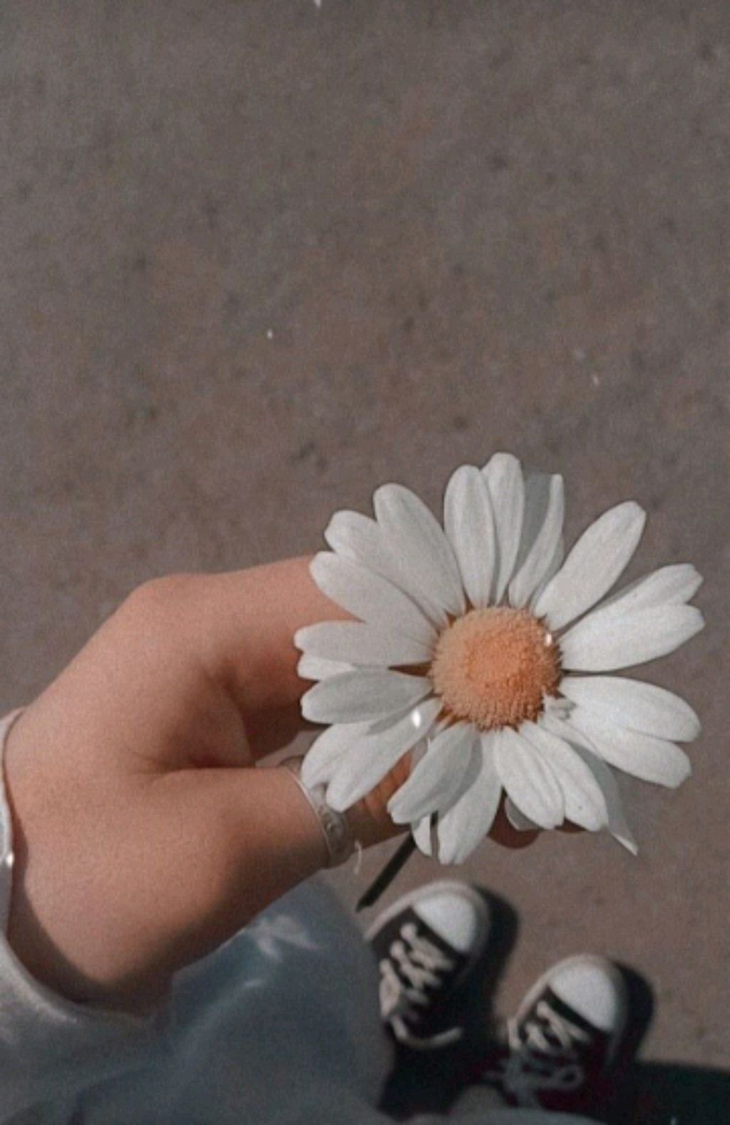 приветик 🎀💕🎀