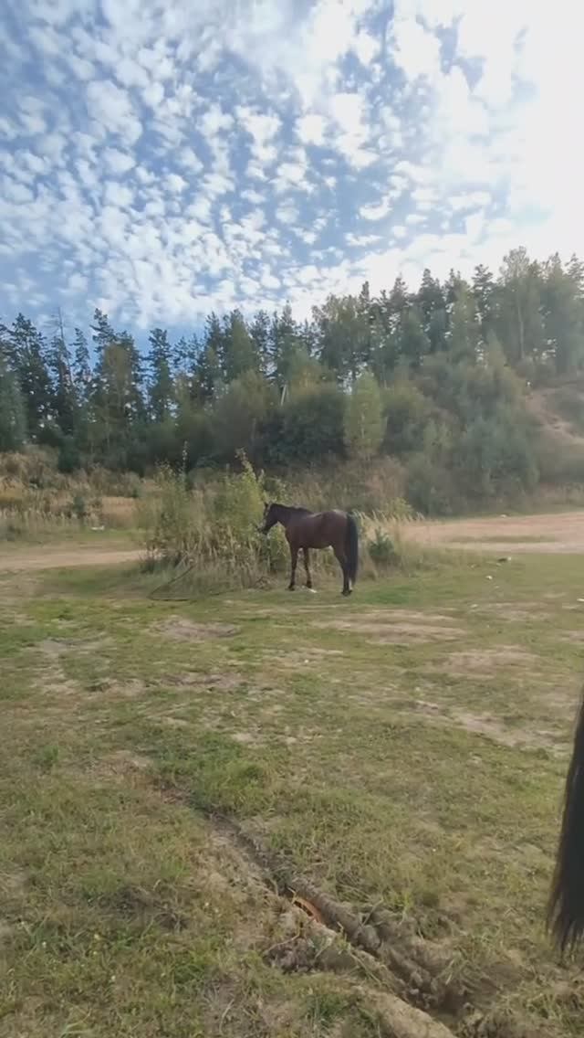 Я уже познал этот мир