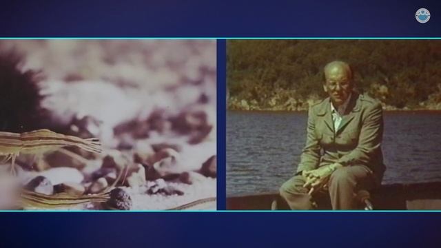 Национальный научный центр морской биологии им. А.В Жирмунского: путь в 55 лет