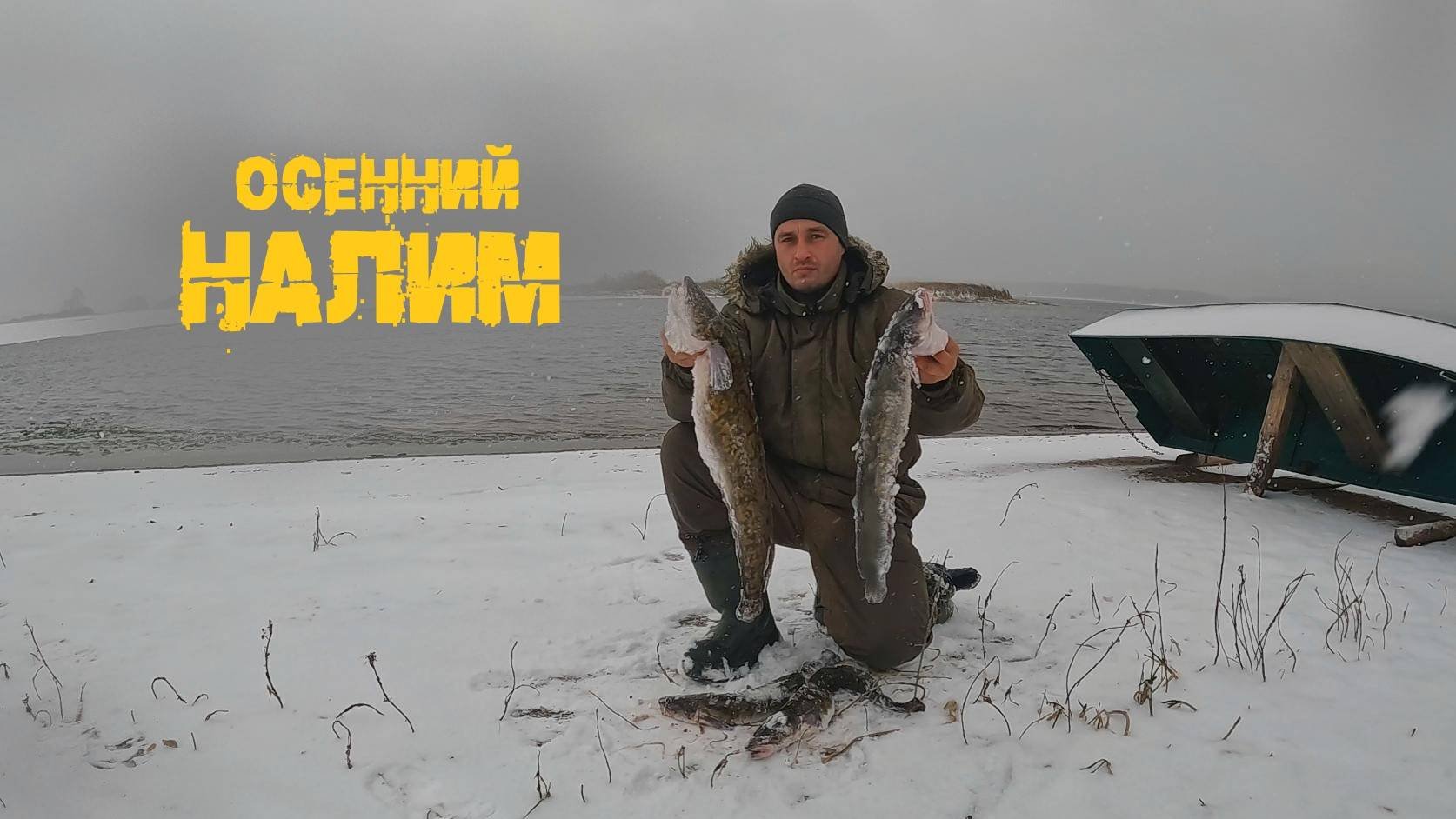 Хозяин межсезонья - осенний налим, р.Кама