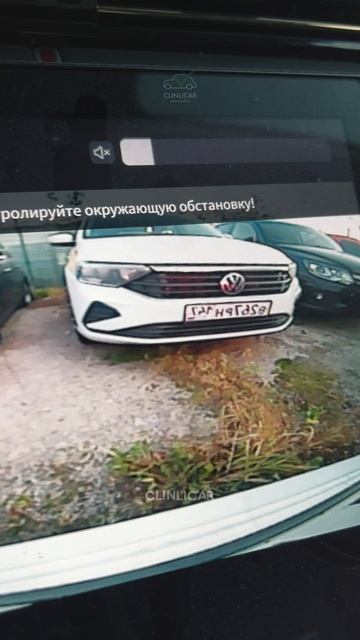 хончи  #clinlicar #automobile #автоподборспб #автоподбормосква
