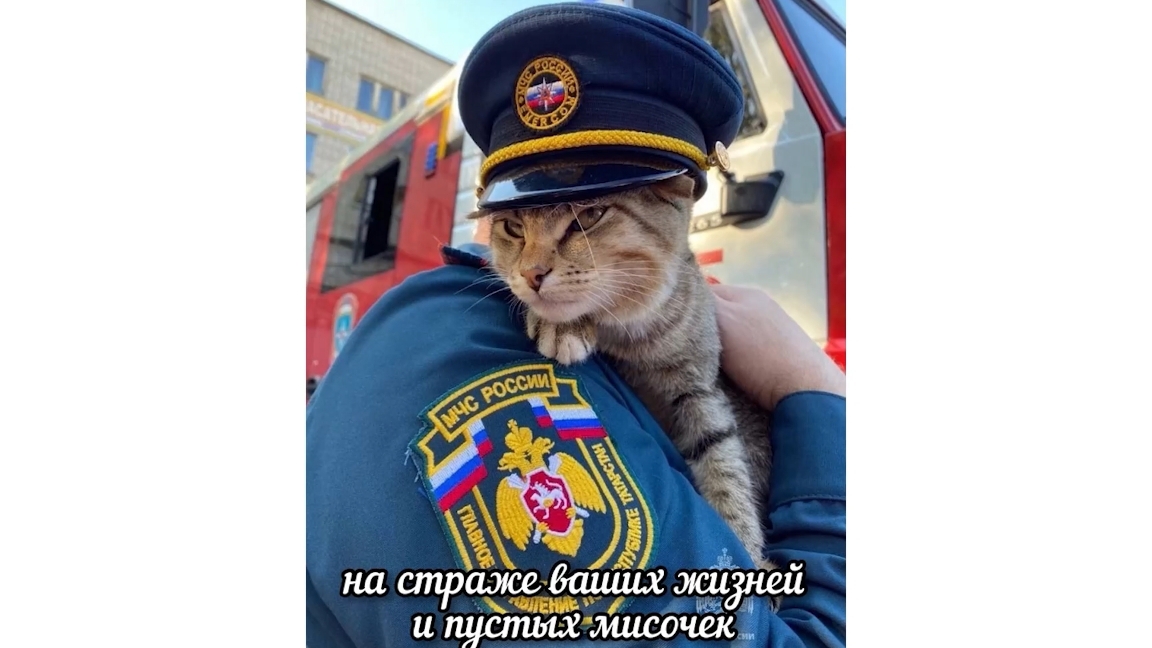 дыма