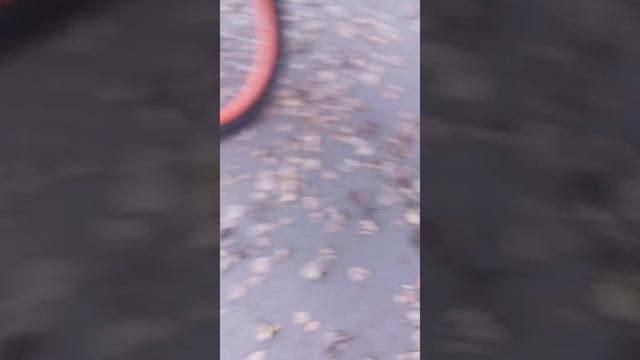 kigoo wish 04 kugoo wish 02 pro сравнение