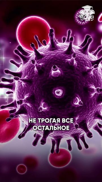 Прорыв. Лекарство против ВИЧ
