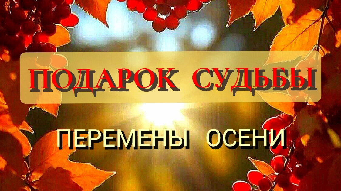 ПОДАРОК 🎁 СУДЬБЫ