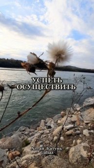 Друзья живите, любите!!!