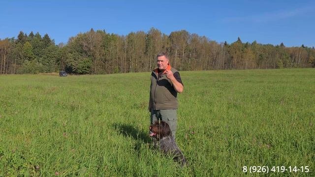 Заключительная работа в поле