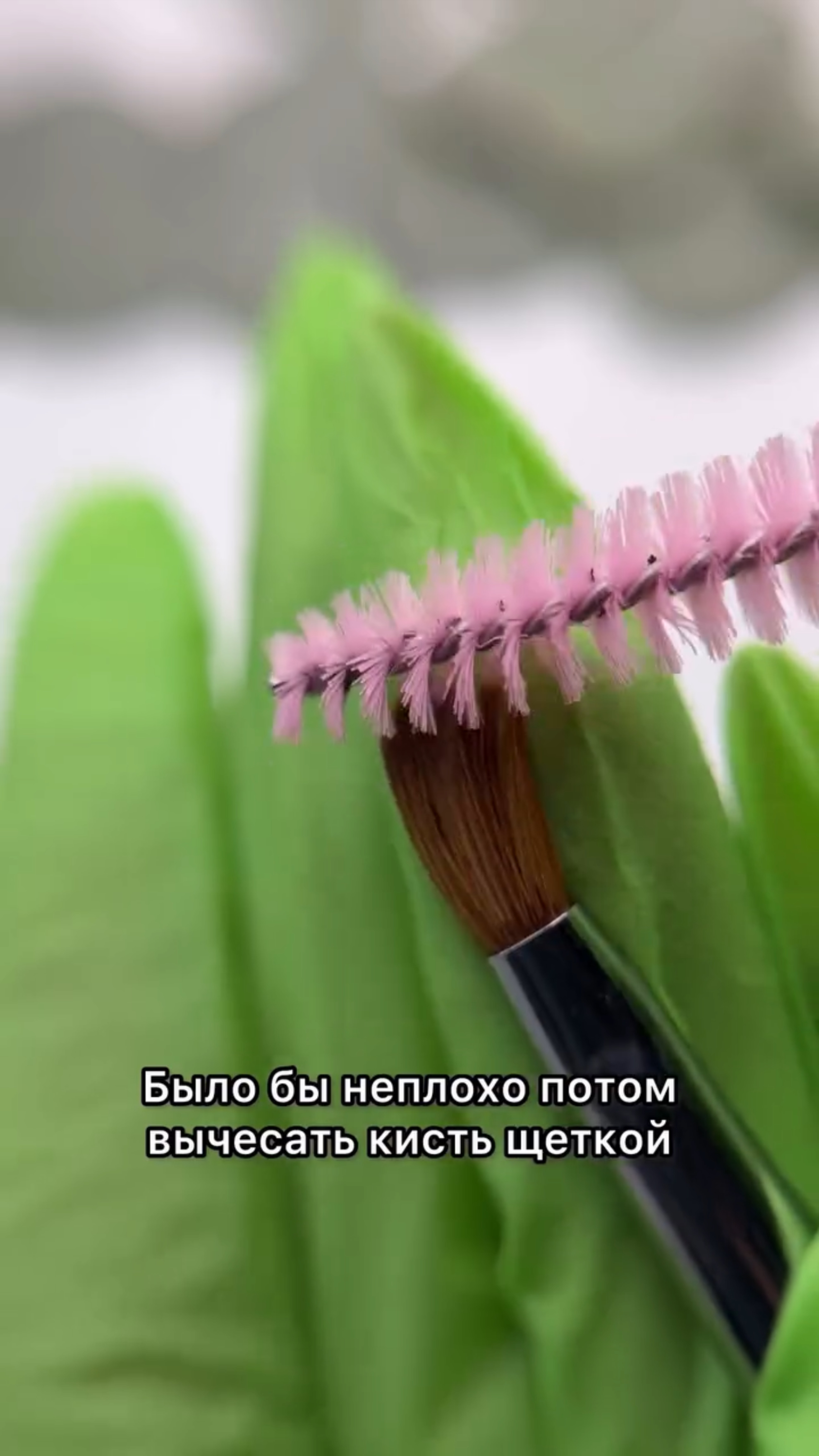 Давно не было контента про кисти)
