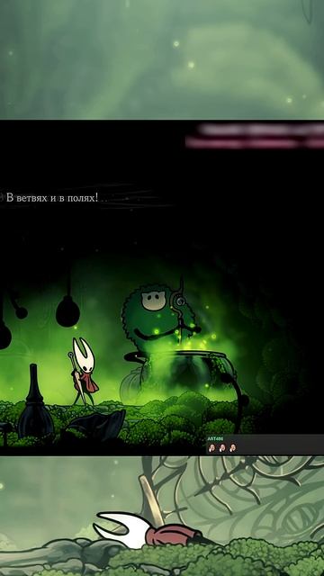 Музыкальная пауза жучки