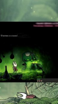 Музыкальная пауза жучки