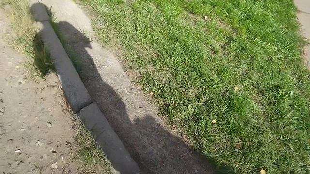 мы в радужном