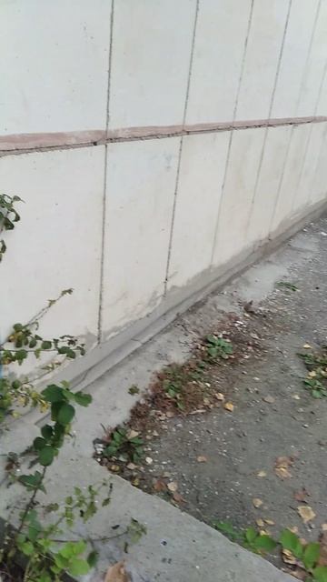 я в санатории Синегорье