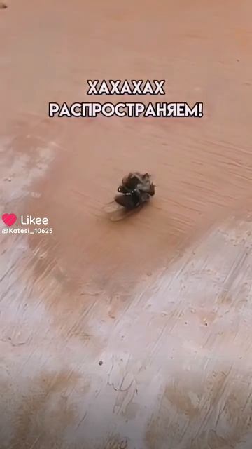 ВРОЩАЙТЕ БАРАБАН МЕМ ВЕКА!